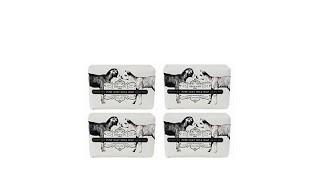 Beekman 1802 Pure Goat Milk Bar Soap 4piece Set AutoShip [upl. by Lorrin]