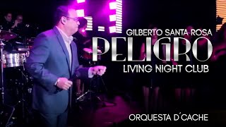 Gilberto Santa Rosa con Orquesta Femenina DCache  Peligro  Salsa en Vivo [upl. by Godwin689]