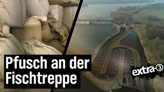 Realer Irrsinn Pfusch an der Fischtreppe in Geesthacht  extra 3  NDR [upl. by Paulie]