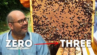 My First Month in Beekeeping Growing from Zero to Three Hives [upl. by Oralle]