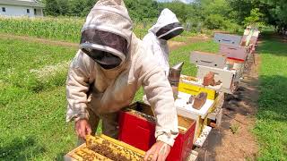 Teaching beekeeping basics [upl. by Kcirdnekal]