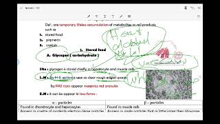 lecture 5  Cell inclusions [upl. by Kissel]