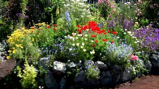 How to Make Cant Go Wrong Plant Combinations [upl. by Ume]