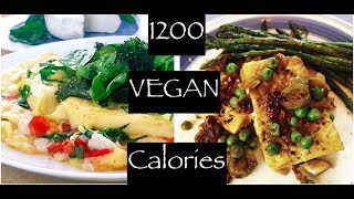 1200 Vegan Calories a Day  Vegan Weight Loss [upl. by Avevoneg909]