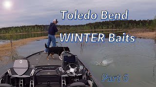 The REAL Toledo Bend LAKE Breakdown  Stop Missing Fish and Watch This [upl. by Aisitel]