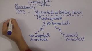 Chemistry  biochemistry  proteins  amino acid as building block  make education easy [upl. by Bekaj]