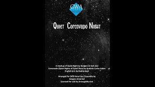 Quiet Corcovado Night Demo [upl. by Nofpets]