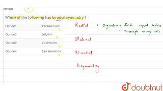 Which of the following has biradial symmetry [upl. by Atikam252]