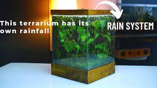 i made a terrarium rain garden in a glass tank  rainfall paludarium [upl. by Eniad631]