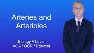 A Level Biology Revision quotArteries and Arteriolesquot [upl. by Nolana]