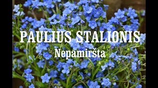 Paulius Stalionis  NEPAMIRŠTA [upl. by Valaria]