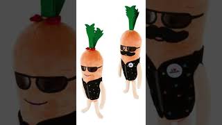 Kevin and Katie plushies 2024 aldi kevinthecarrot [upl. by Falcone]