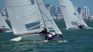 2018 Bacardi Cup Invitational Regatta Preview  Miami USA [upl. by Mazman143]