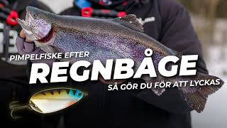 Isfiske efter regnbåge – så gör Sveriges bästa fiskeguide [upl. by Evilc]