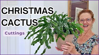 PROPAGATE amp PLANT How to Add Cuttings to Your CHRISTMAS CACTUS for a Fuller Plant [upl. by Arleyne300]