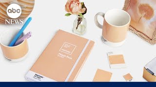 Pantone announces its 2024 color of the year Peach Fuzz [upl. by Naylor]