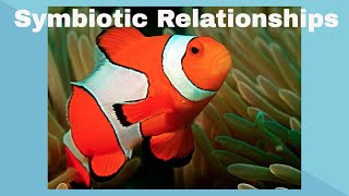 Examples of Symbiotic Relationships [upl. by Nosde]