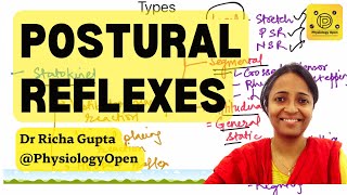 postural reflexes physiology  Righting reflex Maintenance of muscle tone CNS Physiology [upl. by Randee]