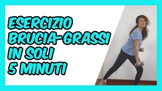 Cardio Fitness brucia grassi a casa in 5 minuti  LIVELLO FACILE  Silva Iotti [upl. by Morganne]