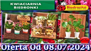 BIEDRONKA🐞Kwiaciarnia Biedronki Nowa Oferta Od 08072024 Kwiatowe Inspiracje Biedronki Tanie Kwiat [upl. by Ihn]