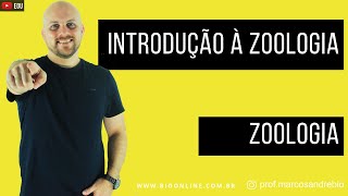 ZOOLOGIA  INTRODUÇÃO AO REINO ANIMALIA METAZOA [upl. by Airdnekal]