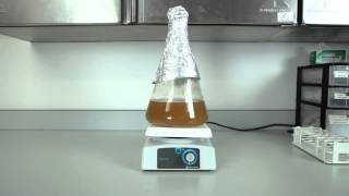 How to Make a Yeast Starter for Homebrewers [upl. by Elisabet925]