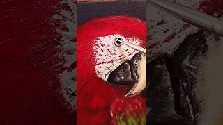 Guacamaya🖌️ art guacamayas retrato oilpainting portraitpainting arte animals aves fauna [upl. by Naneik]