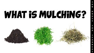 Mulching and Its Types  CBSE Class 8 Geography [upl. by Trinetta]