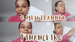 PLANNER FINANCEIRO PARA JUNTAR DINHEIRO [upl. by Asiuqram]