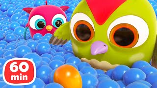 Baby cartoons Full episodes cartoon amp Hop Hop the Owl 1Hour cartoon for kids [upl. by Fi]