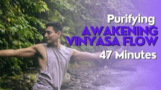 Purifying Awakening Vinyasa Yoga 45 minutes [upl. by Kristoforo361]