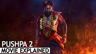 Pushpa 2 The Rule Full Movie Explained in Hindi  BNN Review [upl. by Vachel]