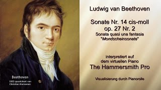 Ludwig van Beethoven Sonate quasi una fantasia Nr 14 cismoll op 27 Nr 2 quotMondscheinsonatequot [upl. by Meirrak458]