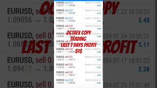 octafx copy trading last 7days profit 51 octafx octafxtrading octafxcopytrading forex [upl. by Annavoj]