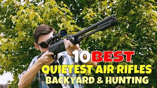 Top 10 Best Quietest Air Rifle for Backyard and Hunting Quietest Air Rifles with Decibel Rating [upl. by Enelad]