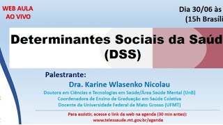 30062020  Determinantes Sociais da Saúde DSS  Dra Karine Wlasenko Nicolau [upl. by Christianson]