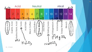 ആസിഡുകൾ amp ആൽക്കലി Acids and Alkali  Part 2  Class 10  Malayalam [upl. by Assehc]