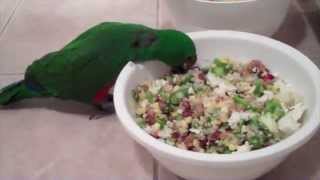 Making Eclectus Parrot Dinner Parrot Mash [upl. by Ainekahs]