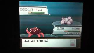 How to find Pineco and Exeggcute HG SS [upl. by Uyr]