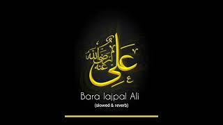 Bara lajpal Ali qasida slowed amp reverb 2022 [upl. by Hilaria677]