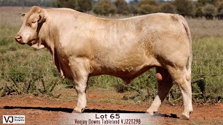 Lot 65 Veejay Downs Tableland VJ22T29B [upl. by Schumer]