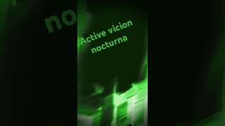 vicion nocturna [upl. by Mcconaghy175]