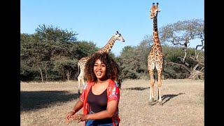 I SPENT THE DAY WITH GIRAFFES AND A LONELY OSTRICH [upl. by William]