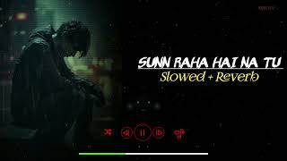 Sunn Raha Hai Na Tu Slowed  Reverb  Lofi Song  Trending Lofi Song  Aashiqui 2  RH LOFI [upl. by Onil750]