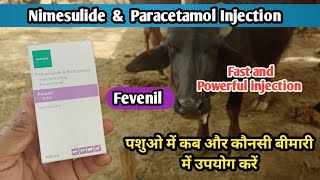 Fevenil  Nimesulide and Paracetamol Injection  ka upyog Pashuon Mein Konsi Disease Mein Kab Kase [upl. by Harvard]