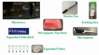 Tools Use for Gel Electrophoresis [upl. by Adnorat876]