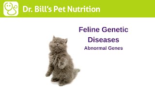 Feline Genetic Diseases  Abnormal Genes  Dr Bills Pet Nutrition  The Vet Is In [upl. by Kegan]