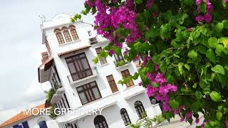 Panama City Tour The Miraflores locks and the old part of the city [upl. by Zedekiah113]