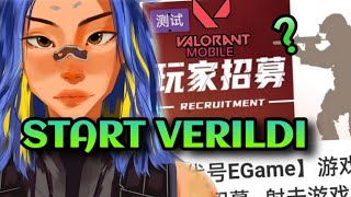 Valorant Mobile Açık Beta Başlıyor   Valorant Mobile New leaks CODENAME E GAME [upl. by Edin956]