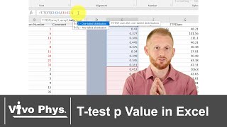 T test p Value in Excel [upl. by Ellivnarg]